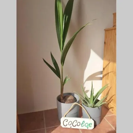 Casa Cocoloe Сasa de vacaciones *