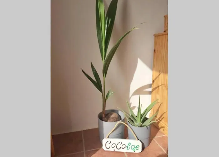 Casa Cocoloe Casa de Férias *